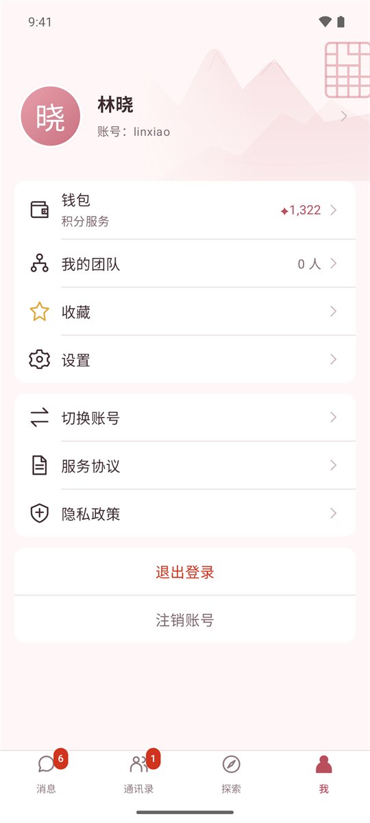 「我」页面:钱包积分、我的团队、设置